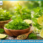 गरमी में पुदीना: ठंडक, पाचन और प्रतिरक्षा का प्राकृतिक उपाय, आयुर्वेद में विशेष महत्व